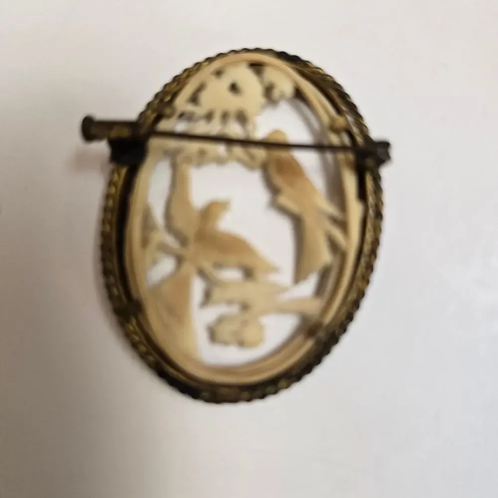 Depose France Celluloid Gold Tone Bird Oval Brooch Ornate Carved Antique Read
